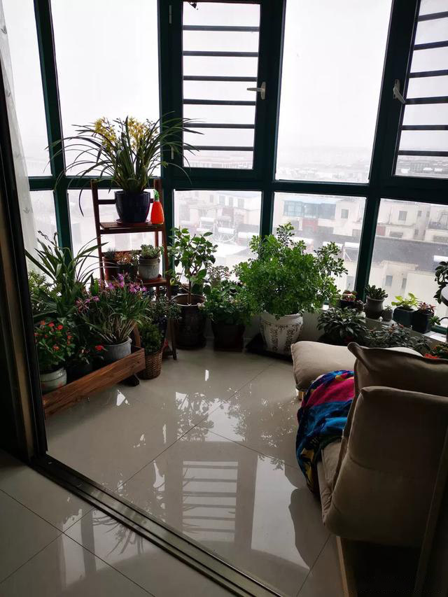 合理设计阳台,让阳光更加充足