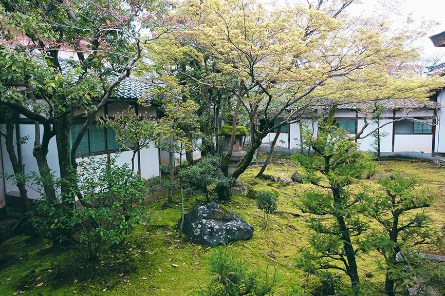 贵阳装修公司|夏天蚊虫众多该如何防止?